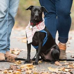 Meet your Posher, Eileen